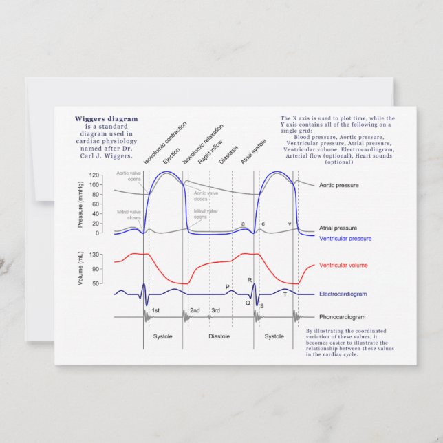 Carte Diagramme de Wiggers (Devant)