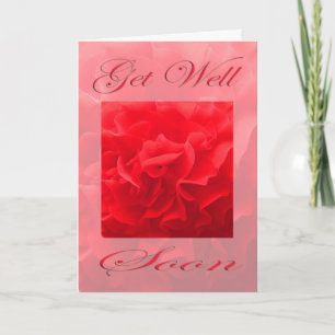 Carte Dianthus Fleur Rouge Guéris Bientôt
