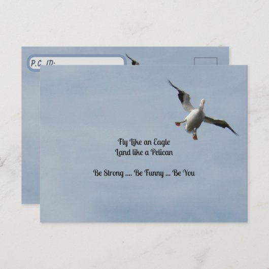 Carte d'identité de poste - Américain blanc Pélica (Devant / Derrière)