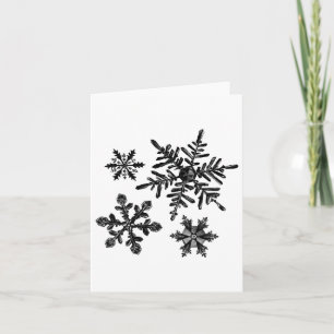 Carte Différents types de flocons de neige Cristal de ne