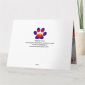 Carte Dilemme de Princess Tatus Cat (Dos)