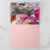 Carte Dilemme de Princess Tatus Cat (Intérieur)