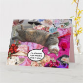 Carte Dilemme de Princess Tatus Cat (Fleur jaune)