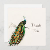 Carte d'illustration Peacock Merci Vintage (Devant / Derrière)