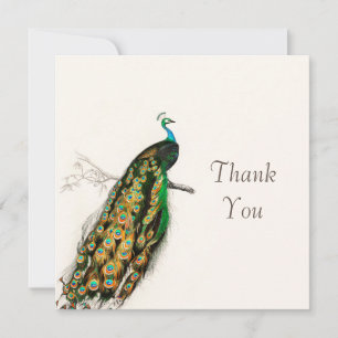 Carte d'illustration Peacock Merci Vintage