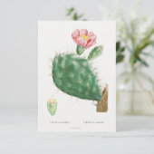 Carte d'illustration plante vintage (Debout devant)