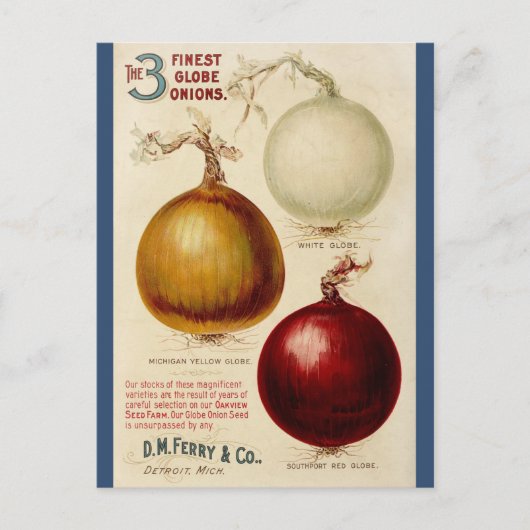 Carte d'illustration vintage de carte à oignon (Devant)