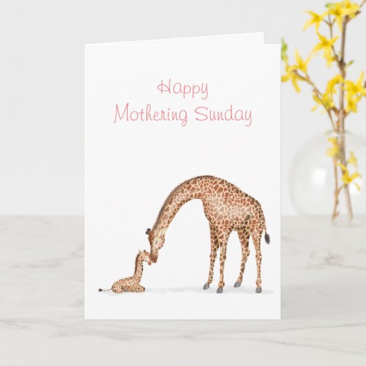 Carte dimanche Giraffe et veau Mathering (Fleur jaune)