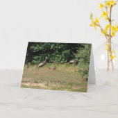 Carte Dindes, Anniversaire (Fleur jaune)