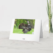 Carte Dindon patriotique se pavanant (Dos)