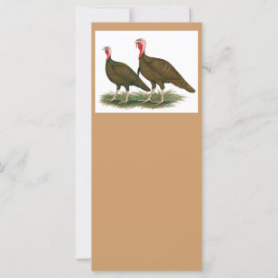 Carte Dindons : Chocolat