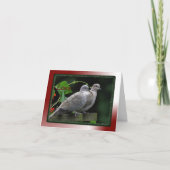 Carte d'inséparables (Devant)