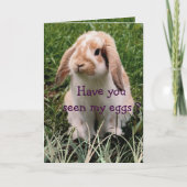 Carte d'interaction (Devant)