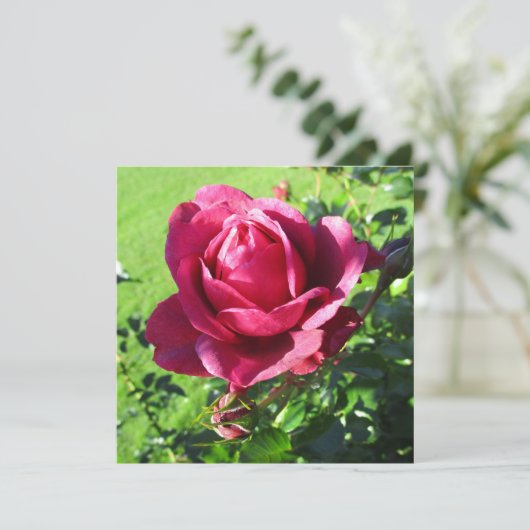 Carte d'invitation (Debout devant)