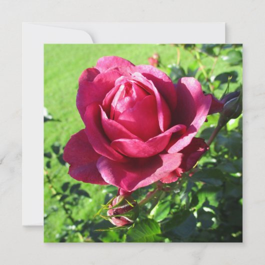 Carte d'invitation (Devant)