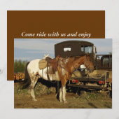 Carte d'invitation Appaloosa Horse (Devant / Derrière)