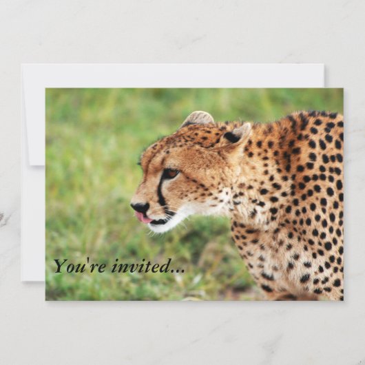 Carte d'invitation Cheetah (Devant)