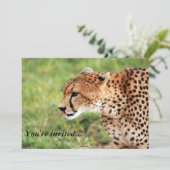 Carte d'invitation Cheetah (Debout devant)