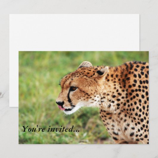 Carte d'invitation Cheetah (Devant / Derrière)