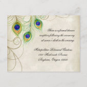 Carte d'invitation de réception Peacock Feathers (Dos)