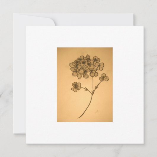 Carte d'invitation/félicitations Hydrangea assourd (Devant)