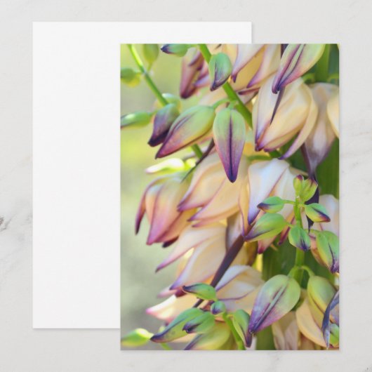 Carte d'invitation fleurs de yucca (Devant / Derrière)