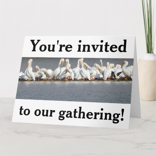 Carte d'invitation, Pélicans (Devant)