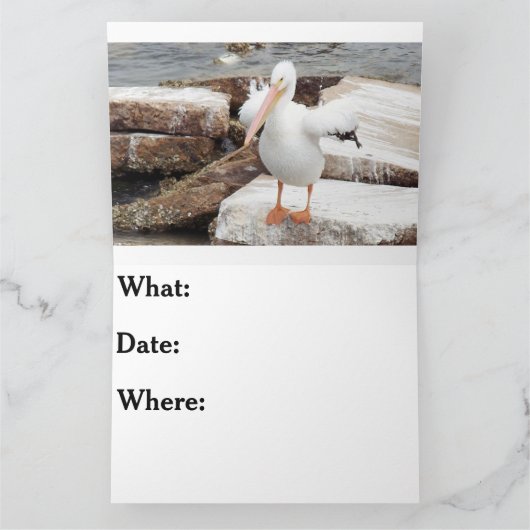 Carte d'invitation, Pélicans (Intérieur)