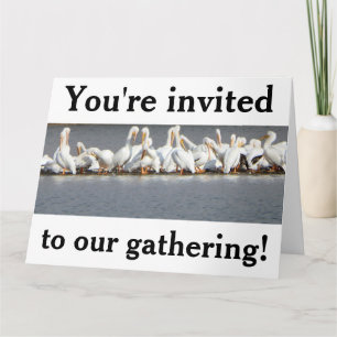 Carte d'invitation, Pélicans