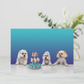 Carte d'invitation plate personnalisable pour fête (Debout devant)