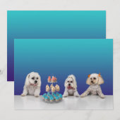 Carte d'invitation plate personnalisable pour fête (Devant / Derrière)