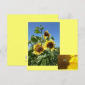 Carte d'invitation tournesols (Devant / Derrière)