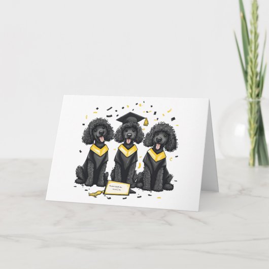 Carte Diplôme Chiens de caniche standard (Devant)