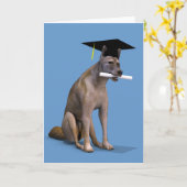 Carte Diplômé Coyote (Fleur jaune)