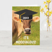 Carte Diplôme De Vache Amusante Et Silly (Fleur jaune)