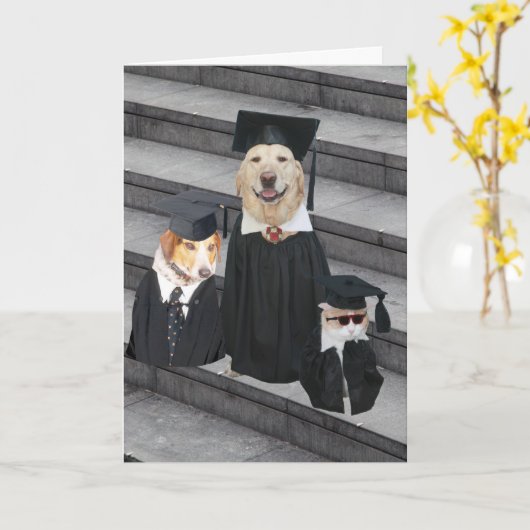 Carte Diplôme Funny Dog (Fleur jaune)