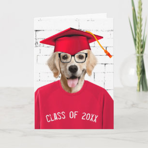 Carte Diplômé Golden Retriever avec Casquette rouge