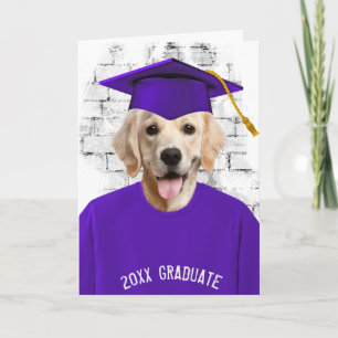 Carte diplôme golden retriever en t-shirt violet