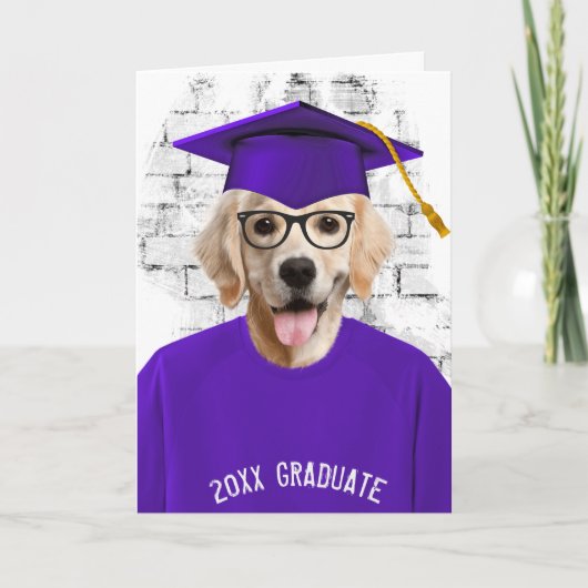 Carte diplôme golden retriever en t-shirt violet (Devant)
