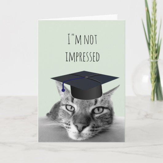 Carte Diplômé Pas Impressionné Chat en Colère Humour (Devant)