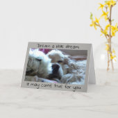 CARTE **DIPLÔMÉ** RÊVEZ-LE ET ÇA PEUT ÊTRE VRAI (Fleur jaune)