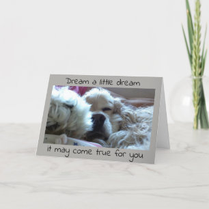 CARTE **DIPLÔMÉ** RÊVEZ-LE ET ÇA PEUT ÊTRE VRAI