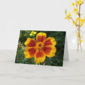 Carte Disco Marigold Orange et Rouge Fleur d'été (Fleur jaune)