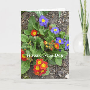 Carte Disposez d'un beau lit à fleurs mixte