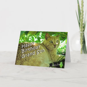 Carte Dissimulation de souffle