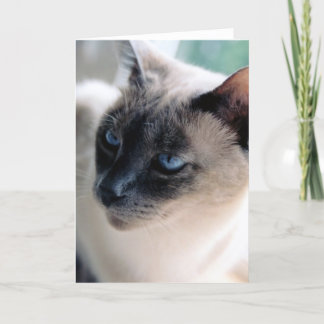 Carte distante de chat siamois (intérieur vide)