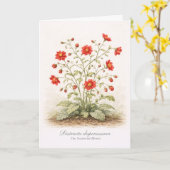 Carte Distracta dispersissima - La Fleur Éparse (Fleur jaune)