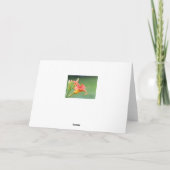 Carte Ditch Lily (Dos)