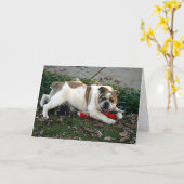 Carte Dites la pitié ! (Fleur jaune)