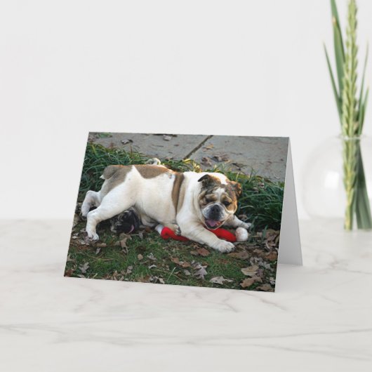 Carte Dites la pitié ! (Devant)